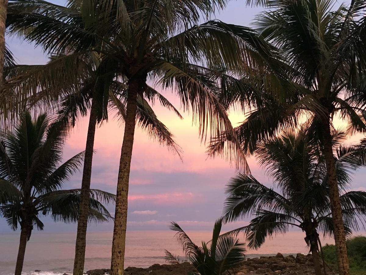 Beinan Coconut Beach Homestay מראה חיצוני תמונה